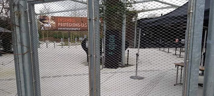 Οι μπαμπουίνοι το έσκασαν – Εκκενώθηκε ο Ζωολογικός Κήπος του Παρισιού (εικόνες, βίντεο)